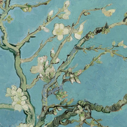 Van Gogh 2D Behang Amandelbloesem