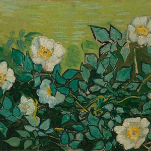 Van Gogh Giclée, Wilde rozen