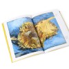 Van Gogh en de Zonnebloemen