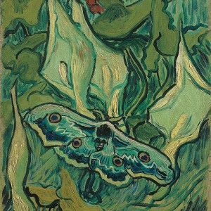 Van Gogh Giclée, Grote nachtpauwoog