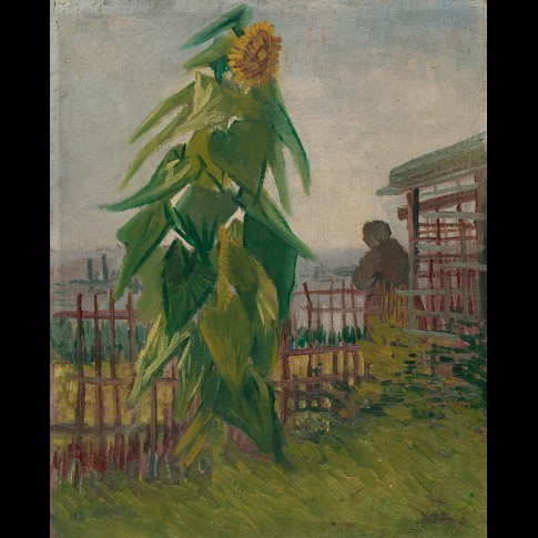 Van Gogh Giclée, Tuin met zonnebloemen