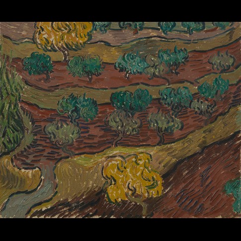 Van Gogh Giclée, Olijfbomen op een berghelling