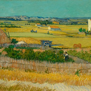 Van Gogh Giclée, De oogst