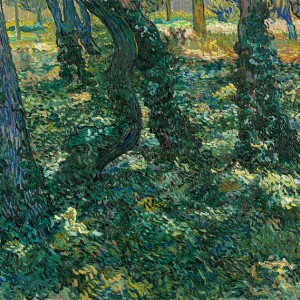 Van Gogh Giclée, Kreupelhout