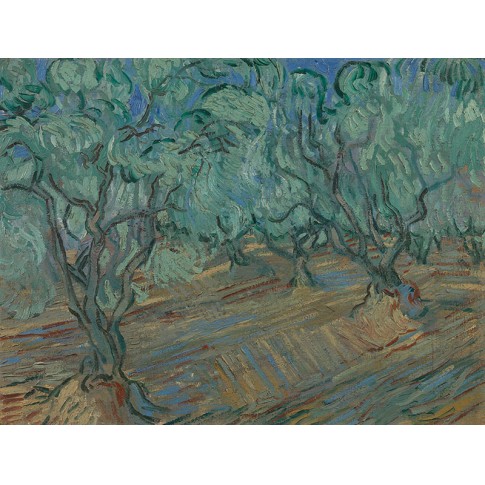 Van Gogh Giclée,Olijfgaard