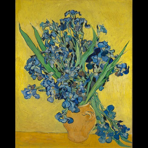 Van Gogh Giclée, Irissen