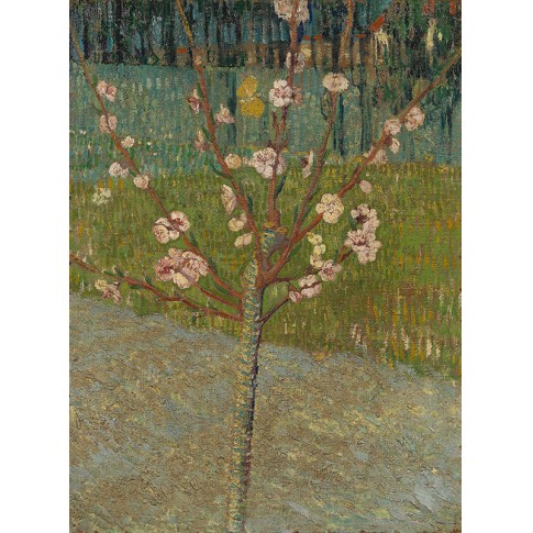 Van Gogh Giclée, Amandelboom in bloei